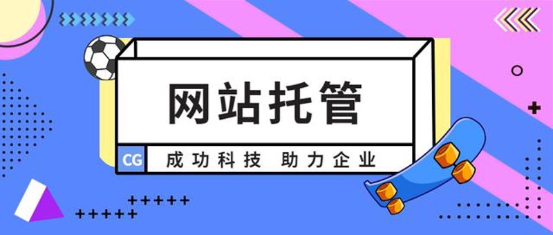 站群程序的市场动态